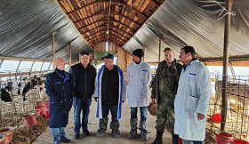 Эксперты Испании работают на животноводческих предприятиях Новосибирской области.