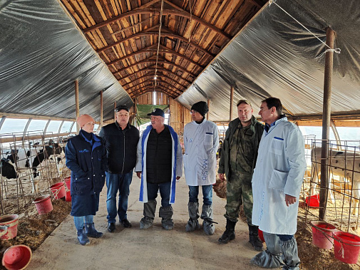 Эксперты Испании работают на животноводческих предприятиях Новосибирской области.