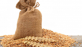 Доверьте оценку качества зерна специалистам лабораторного комплекса последнего поколения ООО «Ревекс Доктор Фармер Корма»